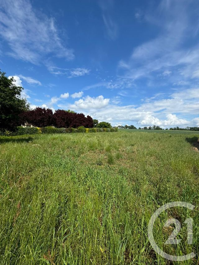 Terrain à vendre DOMAGNE